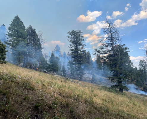 Sawtelle Peak Fire JWhite