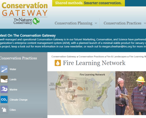 firelearning