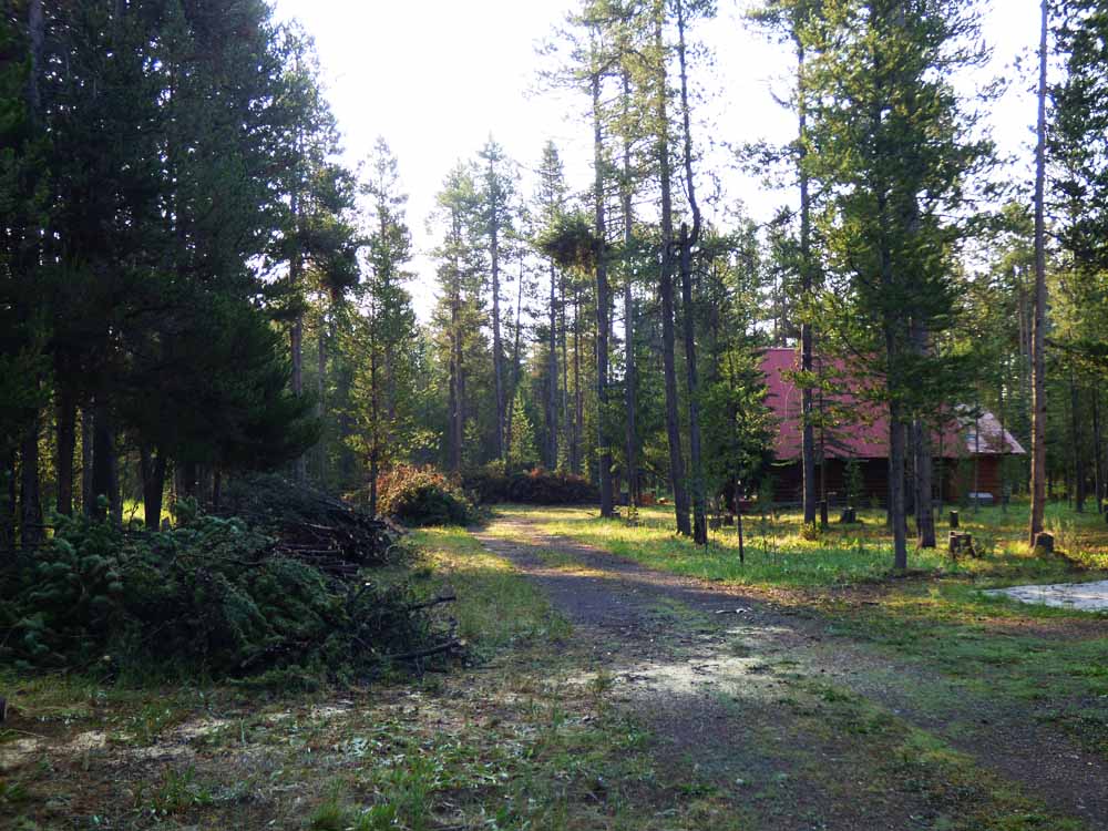 Slash piles prepared for disposal