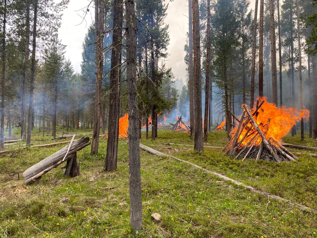 Pile Burning Yale Creek with TNC crew spring 2023