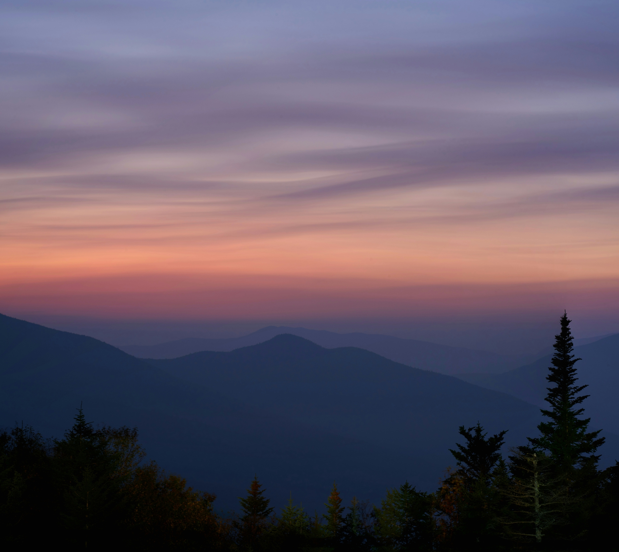 cate-bligh-9_DfHX7z6rQ-unsplash