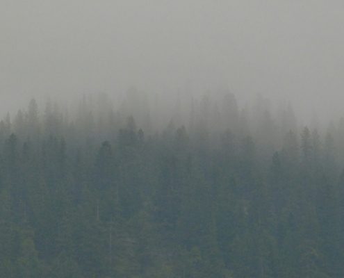 kym-mackinnon-92di8_4sCt0-unsplash