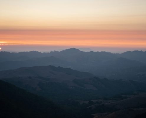 patrick-Qs2_g4L4f8Q-unsplash